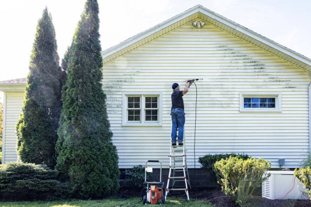 Best Building Exterior Pressure Washing in Whitehouse, OH